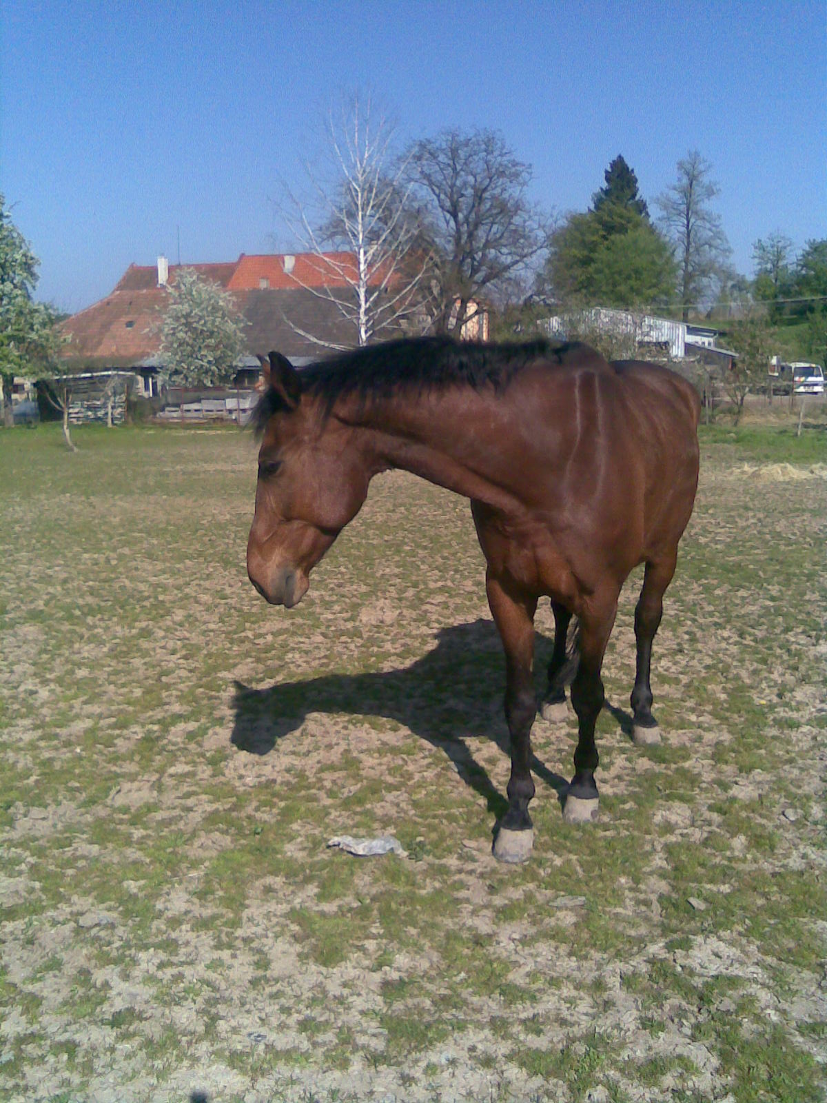 Obraz099.jpg