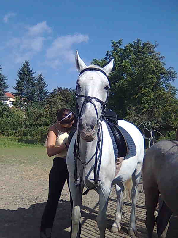Snímka348.jpg