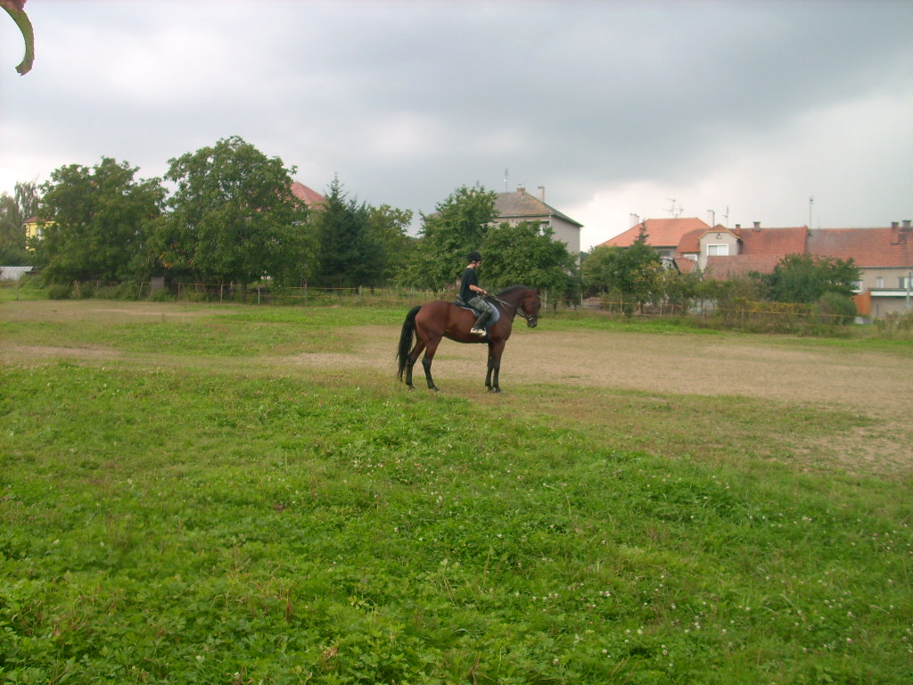 DSCI0558.JPG