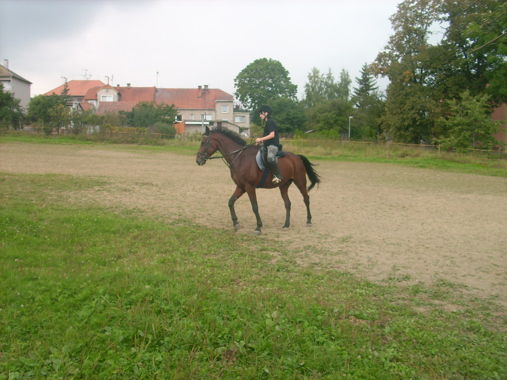 DSCI0563.JPG