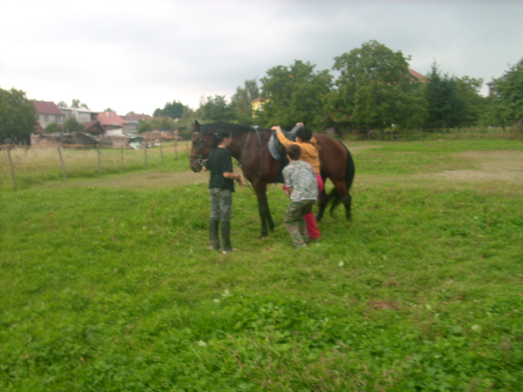 DSCI0567.JPG