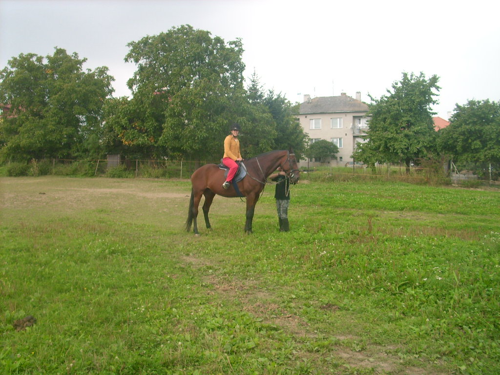 DSCI0571.JPG