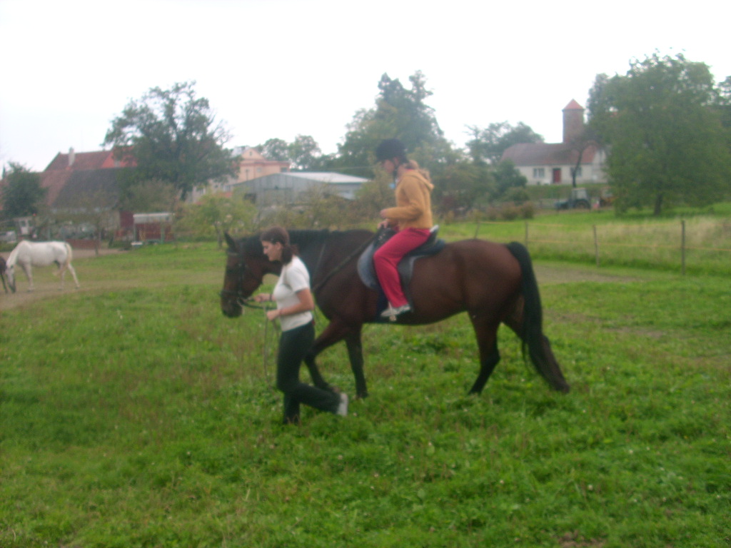 DSCI0576.JPG