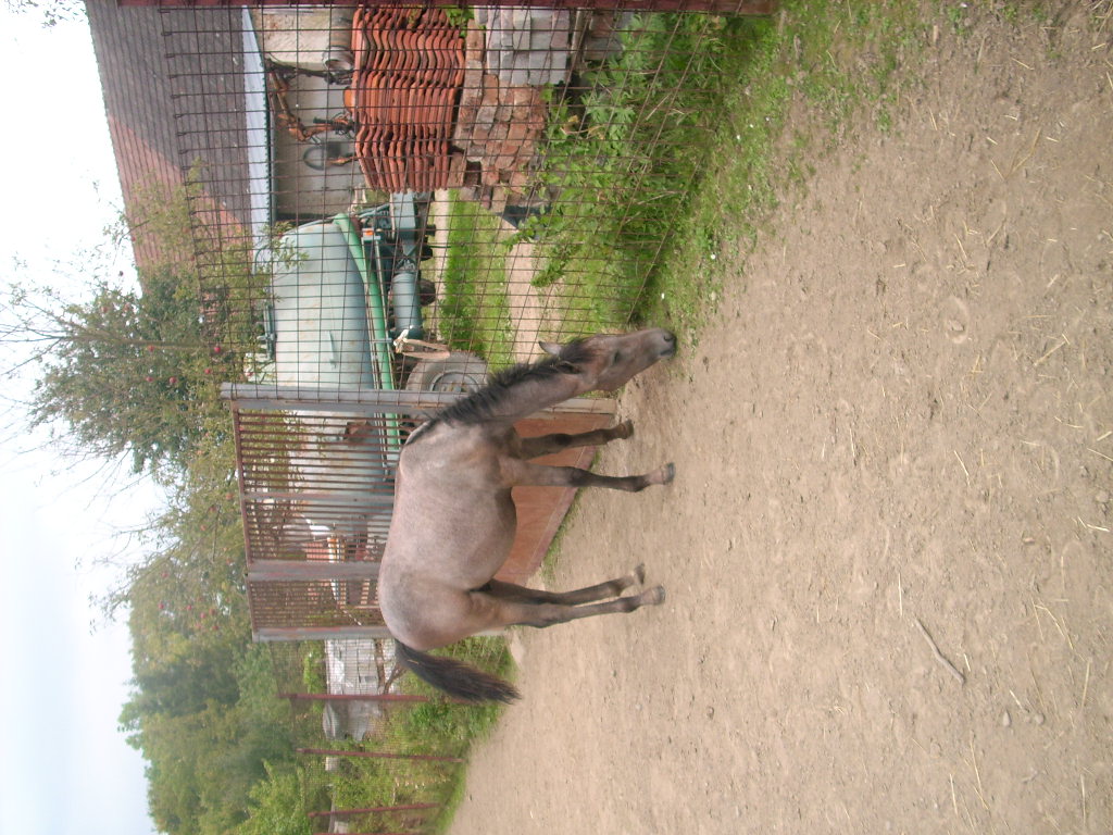 DSCI0556.JPG