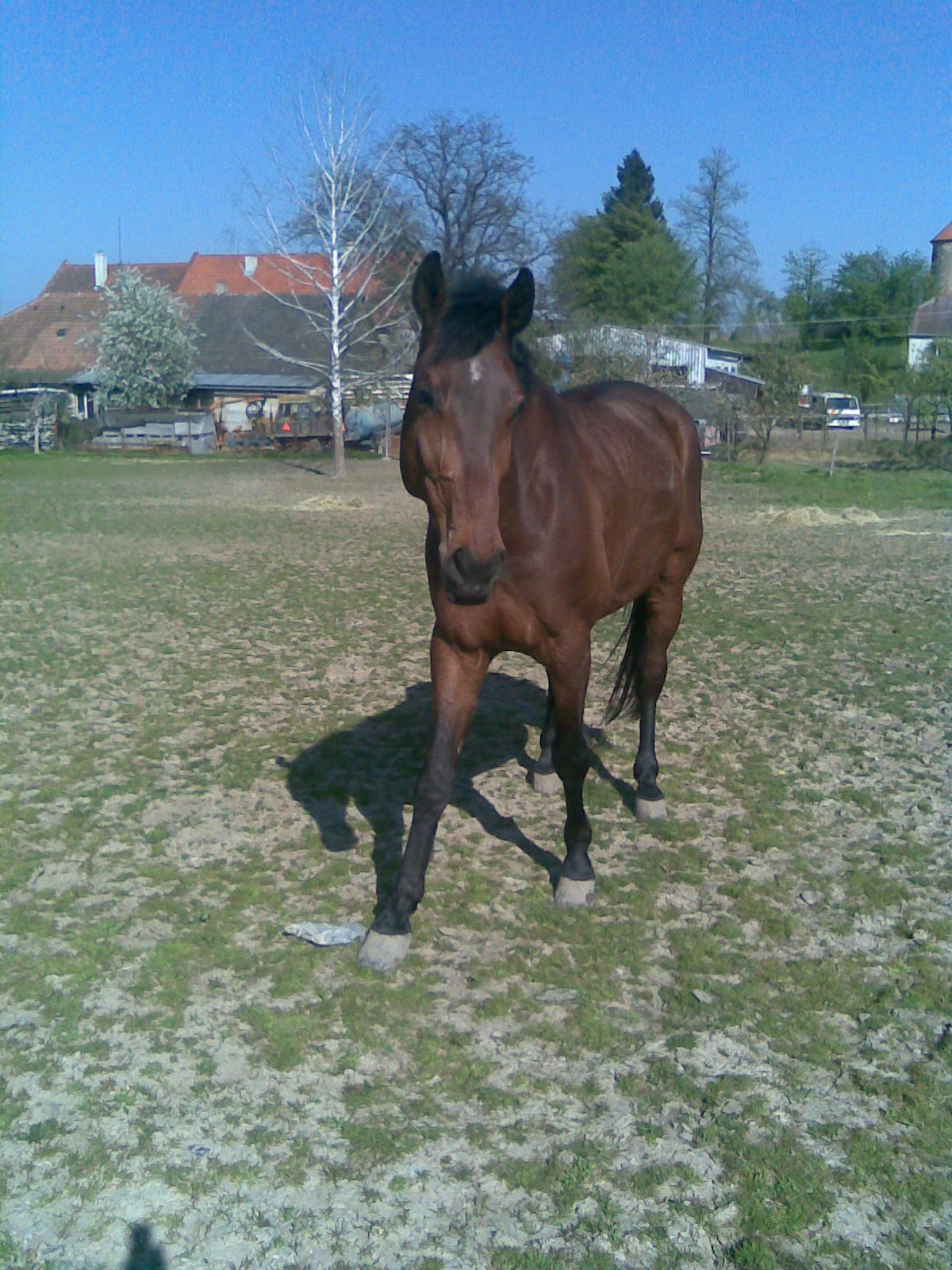 Obraz100.jpg