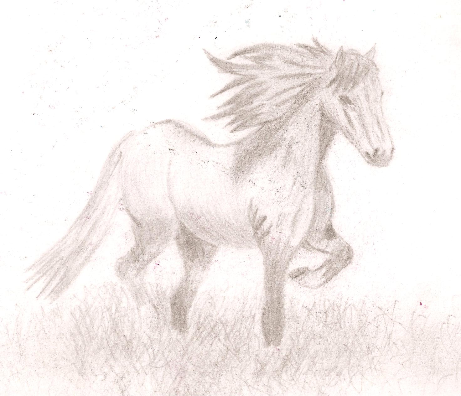 kresby 006.jpg