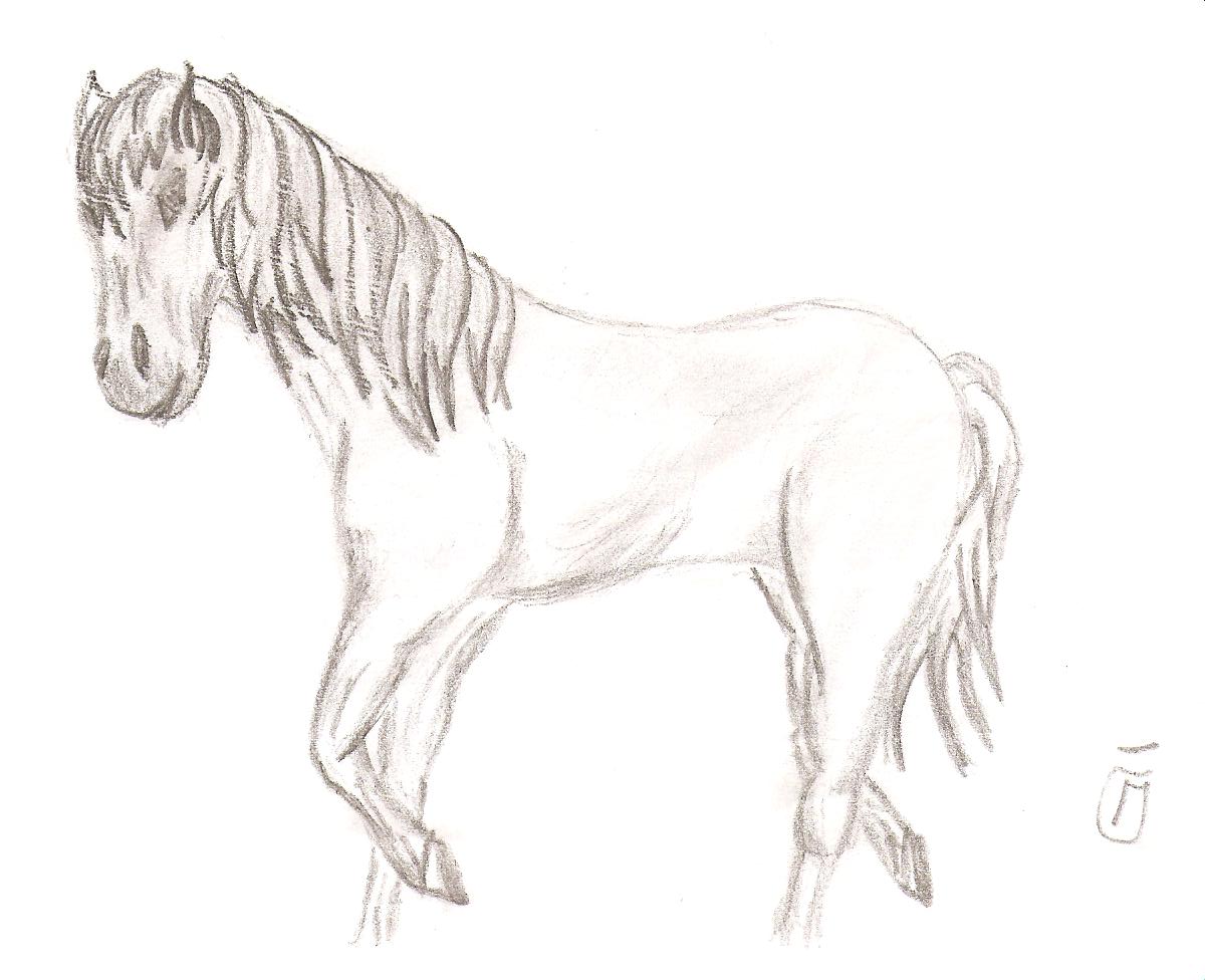 kresby 021.jpg