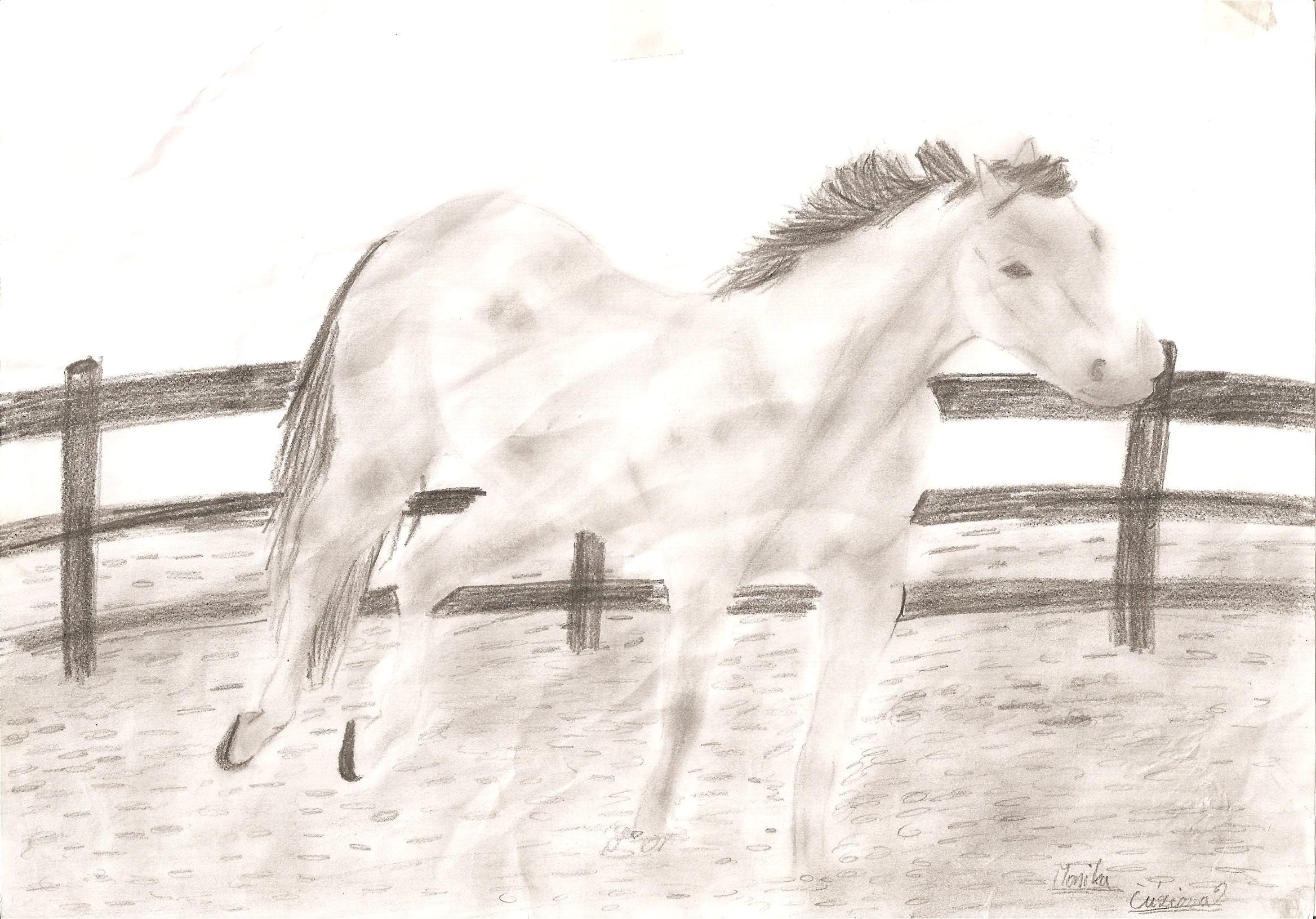 kresby 029.jpg