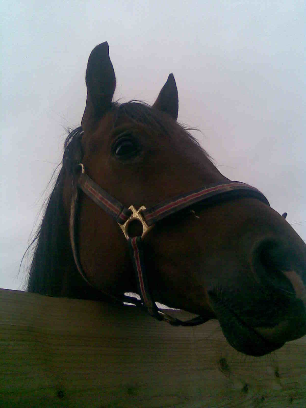 Obraz086.jpg