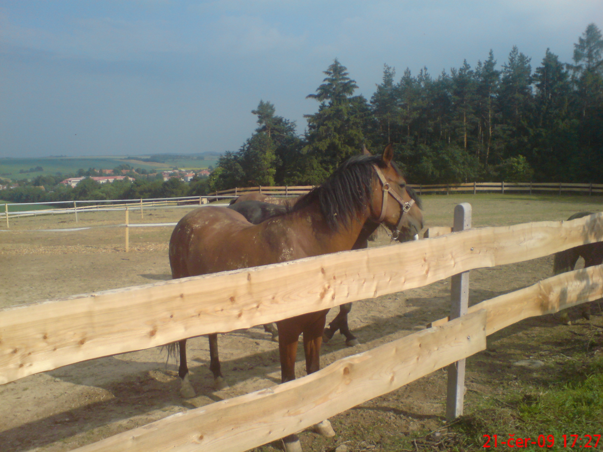 DSC00711.JPG