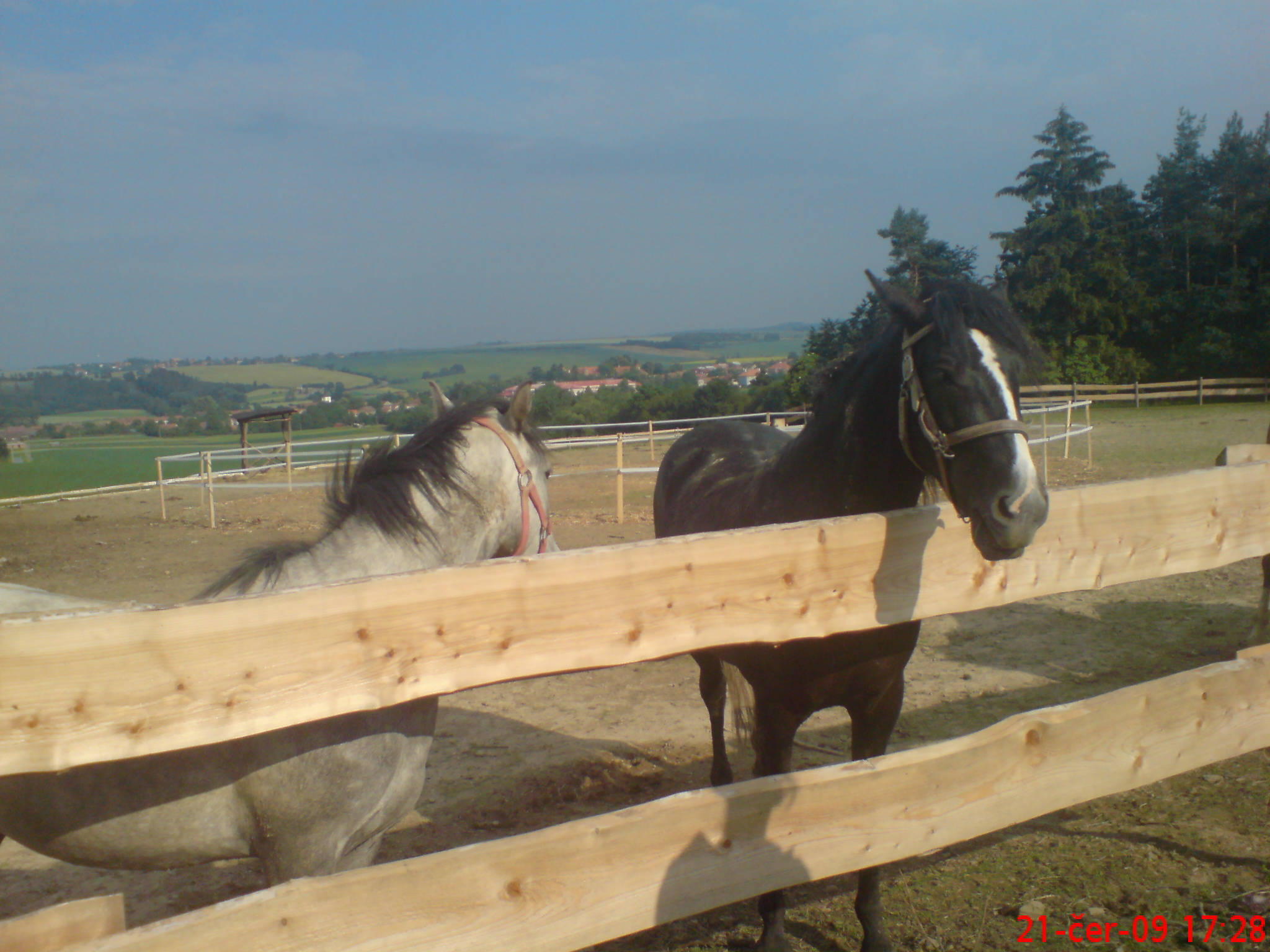 DSC00712.JPG