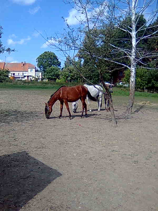 Snímka354.jpg