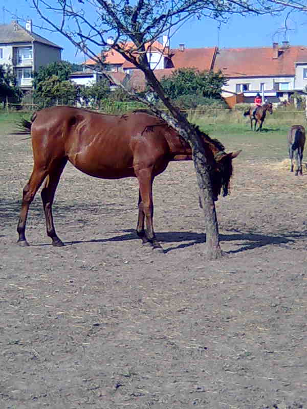 Snímka364.jpg