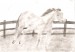 kresby 029.jpg